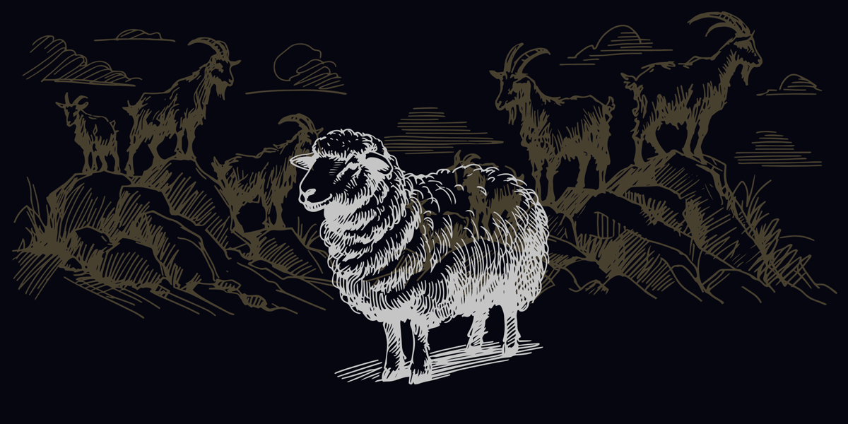Don’t Be a Goat: Following Jesus’ Teaching in Matthew 25