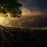 Reclaiming Our Radical Roots Against Reckless Hate