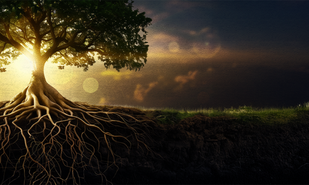 Reclaiming Our Radical Roots Against Reckless Hate