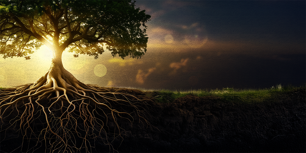 Reclaiming Our Radical Roots Against Reckless Hate