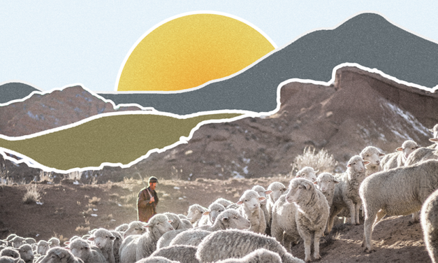 The Restoration Arc: Shepherding Authority, Chaos Consumption, and Territorial Restoration