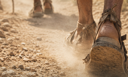 Becoming Like Jesus: Cultivating a Church That Outlasts Us